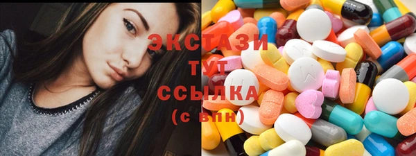 индика Струнино