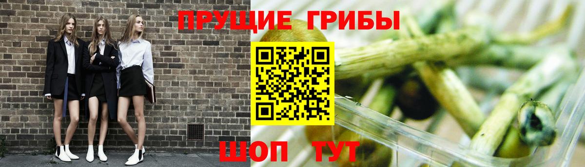 Галлюциногенные грибы ЛСД  Вход с VPN  Псилоцибиновые грибы GOLDEN TEACHER  Янаул 